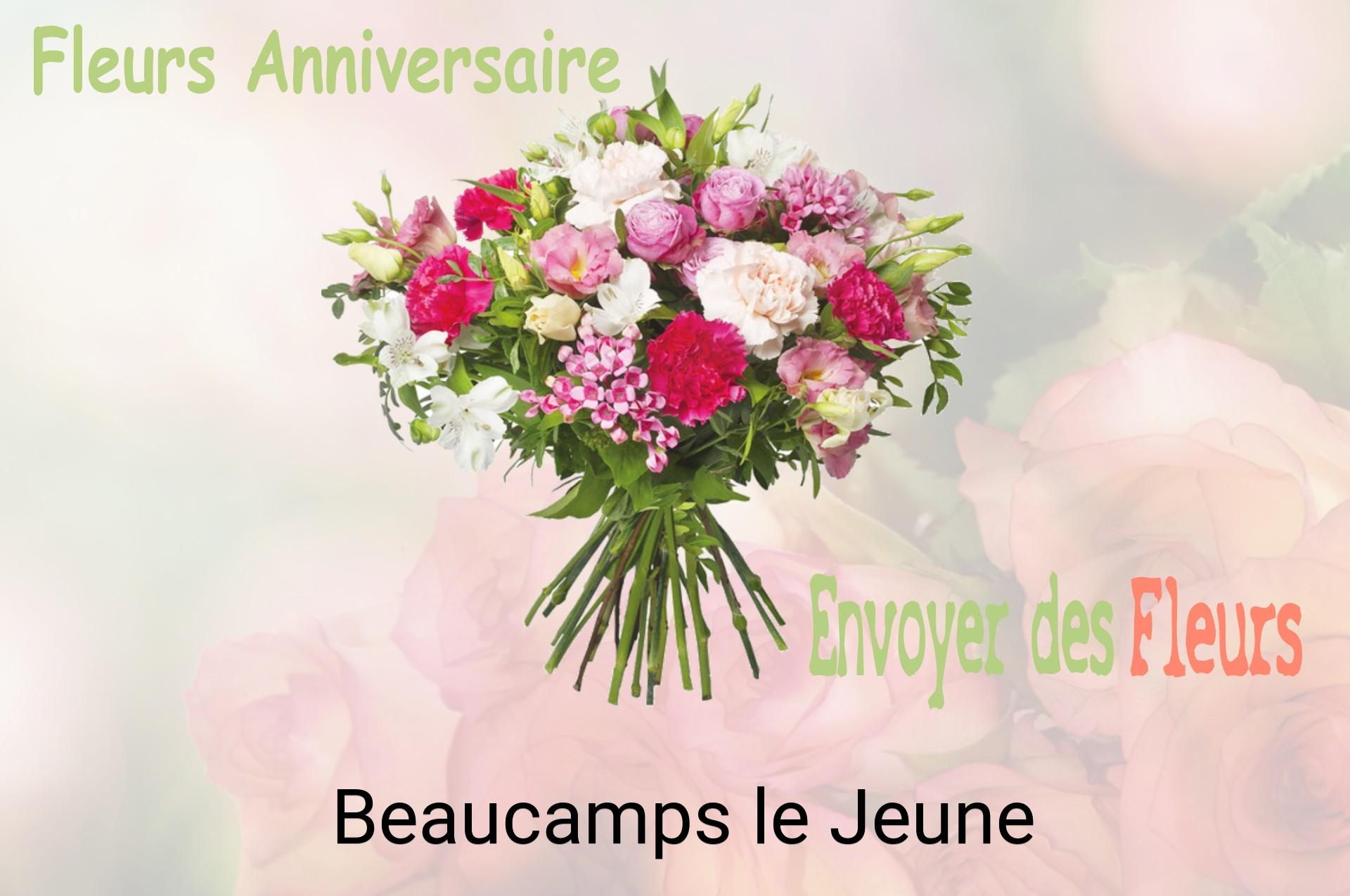Bouquet de fleurs d’anniversaire livré à Beaucamps-le-Jeune
