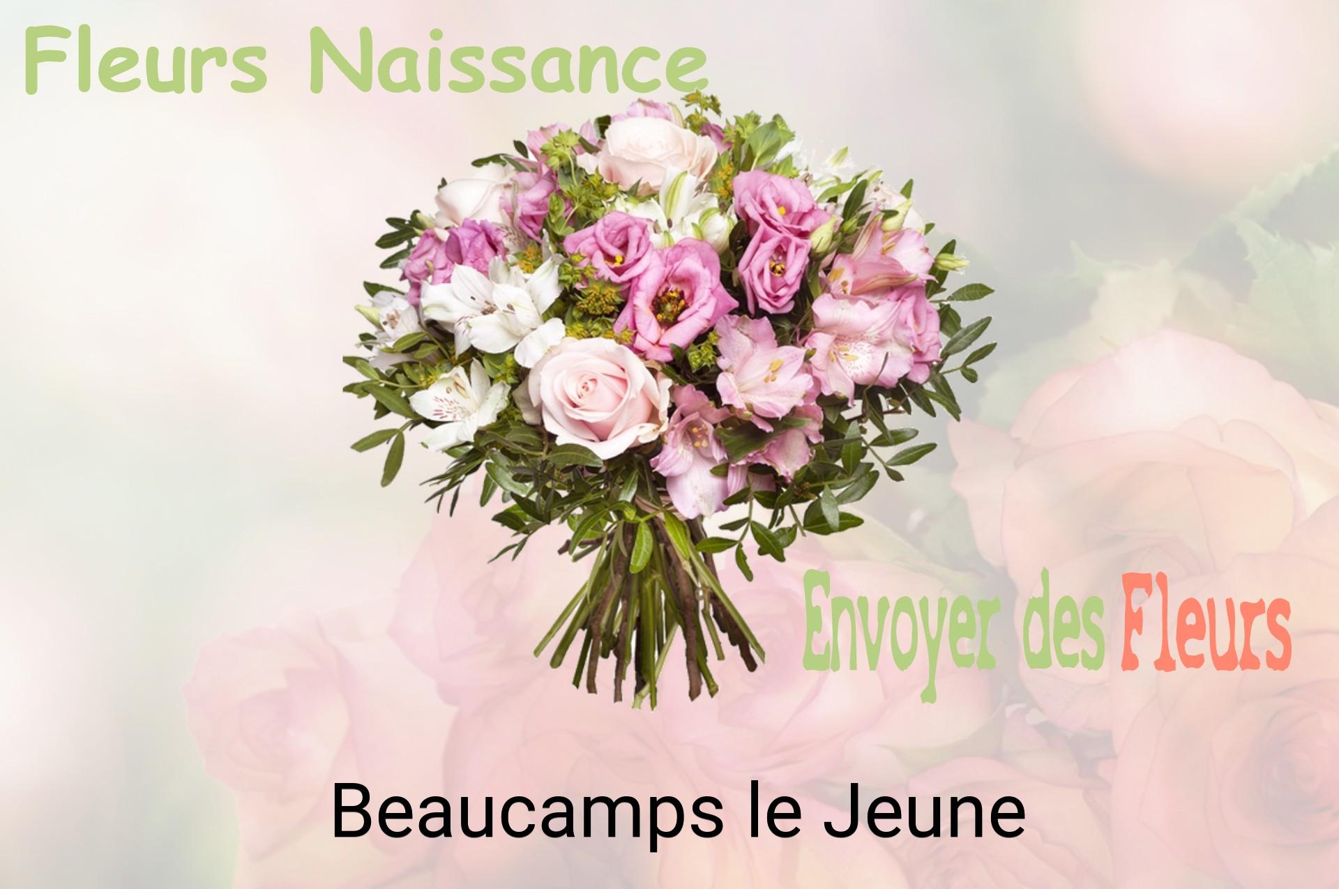 Bouquet de fleurs de naissance livré à Beaucamps-le-Jeune