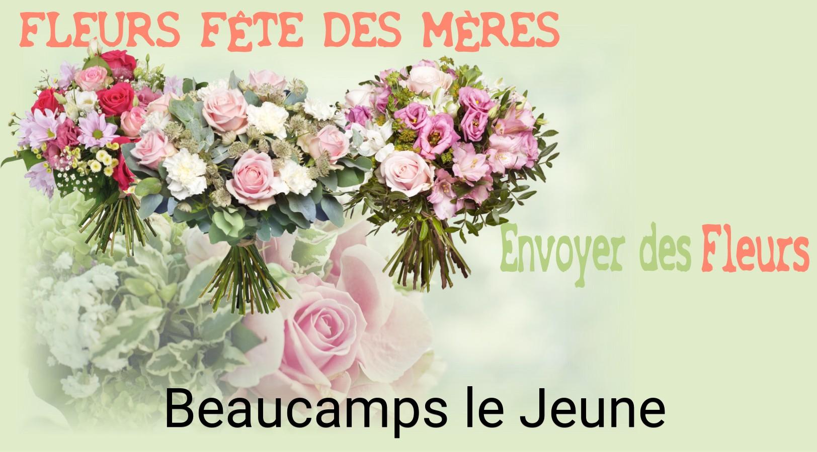 Bouquet de Fête des Mères livré à Beaucamps-le-Jeune